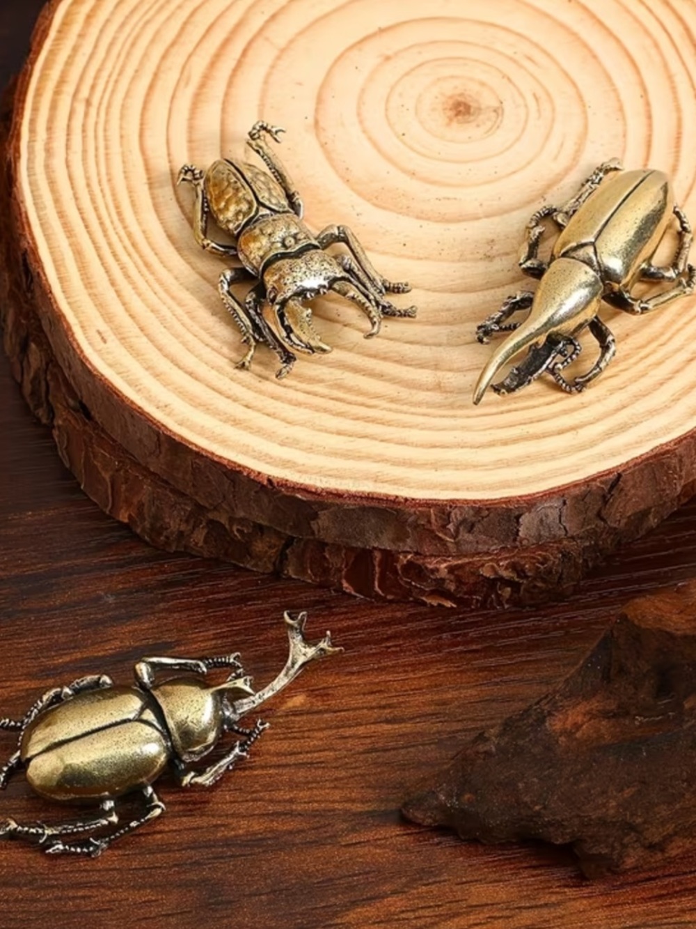 Beetles beetles beetles 🪲
